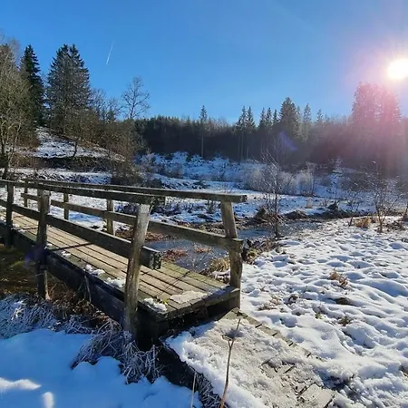 Gemuetliche Reinsfeld